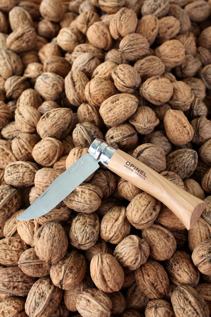 OPINEL - TRADITIONAL CLASSIC N°08 STAINLESS STEEL