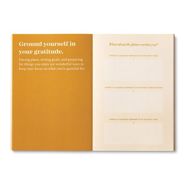 COMPENDIUM - TRUE SERIES | GRATITUDE