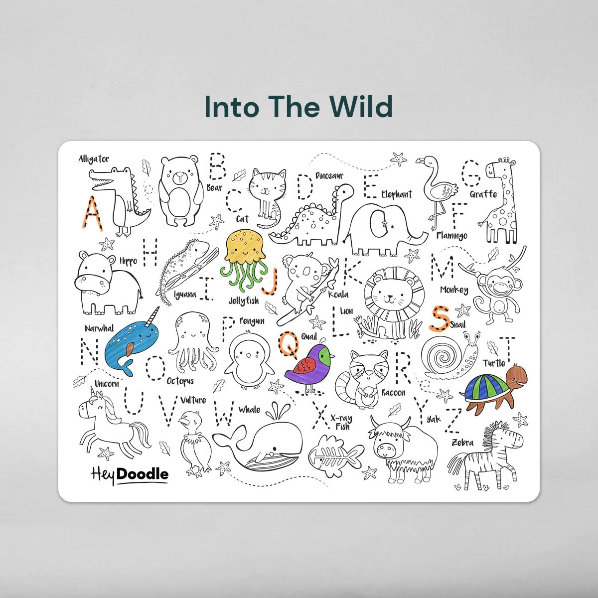 HEY DOODLE - REUSABLE SILICONE MAT | INTO THE WILD