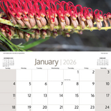 ARTIQUE - 2026 WALL CALENDAR | AUSTRALIAN WILDFLOWERS