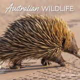 ARTIQUE - 2026 WALL CALENDAR | AUSTRALIAN WILDLIFE