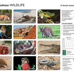 ARTIQUE - 2026 WALL CALENDAR | AUSTRALIAN WILDLIFE