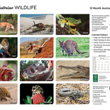 ARTIQUE - 2026 WALL CALENDAR | AUSTRALIAN WILDLIFE