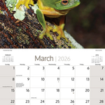 ARTIQUE - 2026 WALL CALENDAR | AUSTRALIAN WILDLIFE