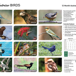 ARTIQUE - 2026 WALL CALENDAR | AUSTRALIAN BIRDS