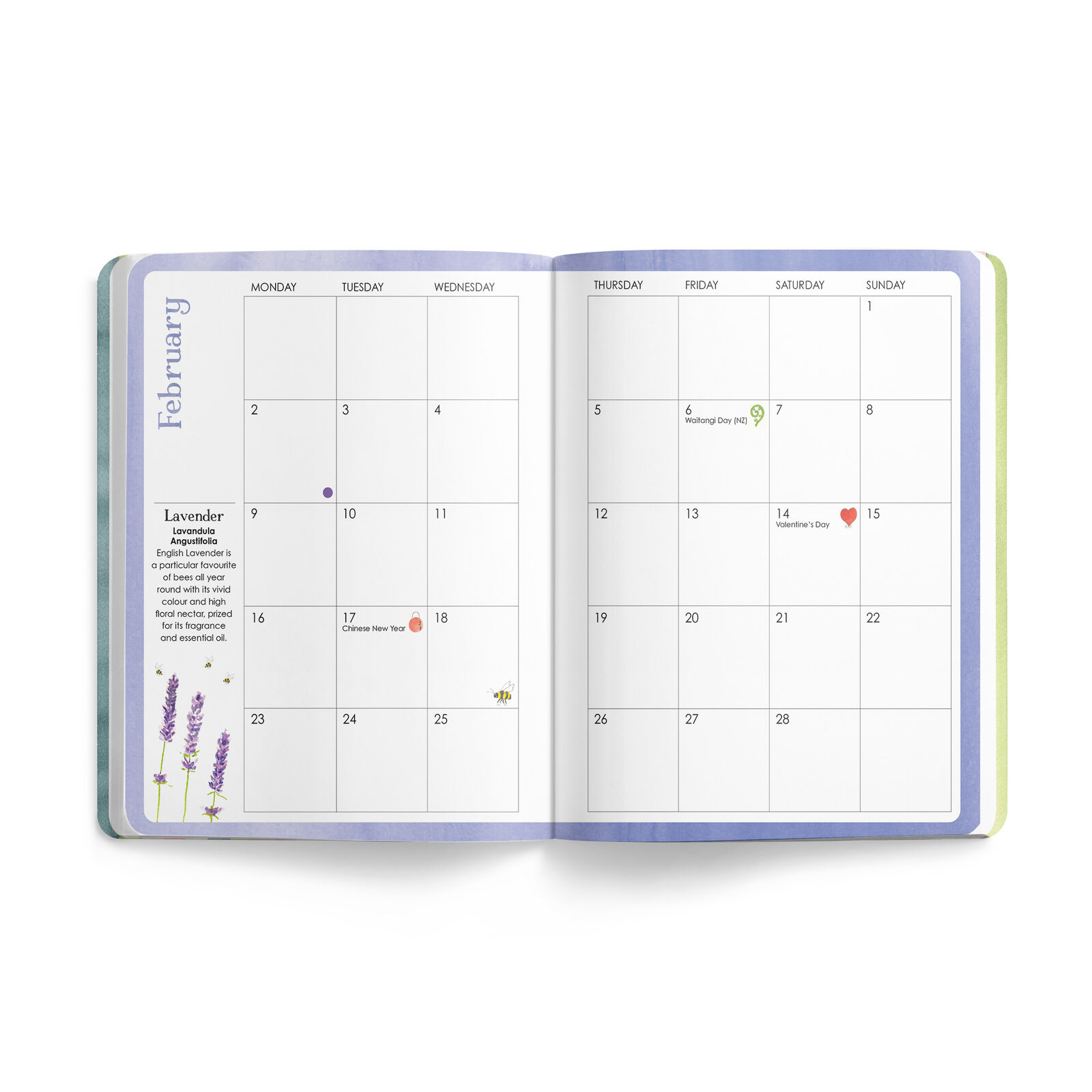 AFFIRMATIONS - 2026 BEE DIARY