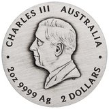 THE PERTH MINT - AUSTRALIAN LUNAR SERIES III 2025 YEAR OF THE SNAKE 2OZ SILVER ANTIQUED COIN