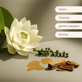 AL.IVE BODY - SOY CANDLE | GREEN PEPPER & LOTUS