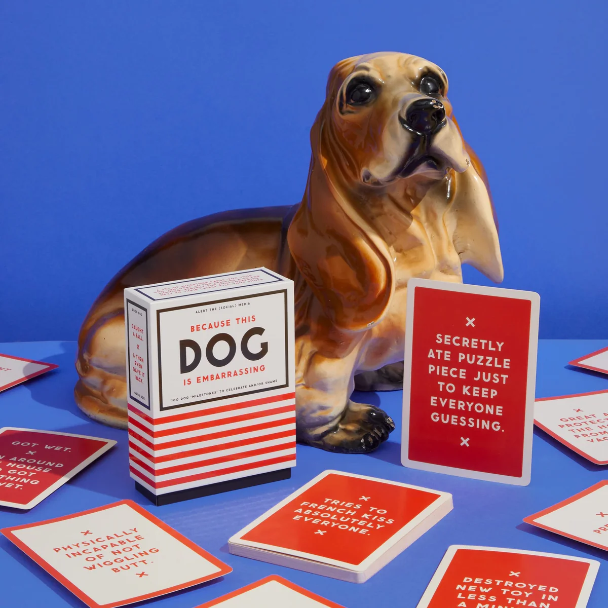 BRASS MONKEY - BECAUSE THIS DOG IS EMBARRASSING | PET SHAME/PRAISE DECK