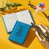 BRASS MONKEY - TINY HOPES AND DREAMS TINY DIARY