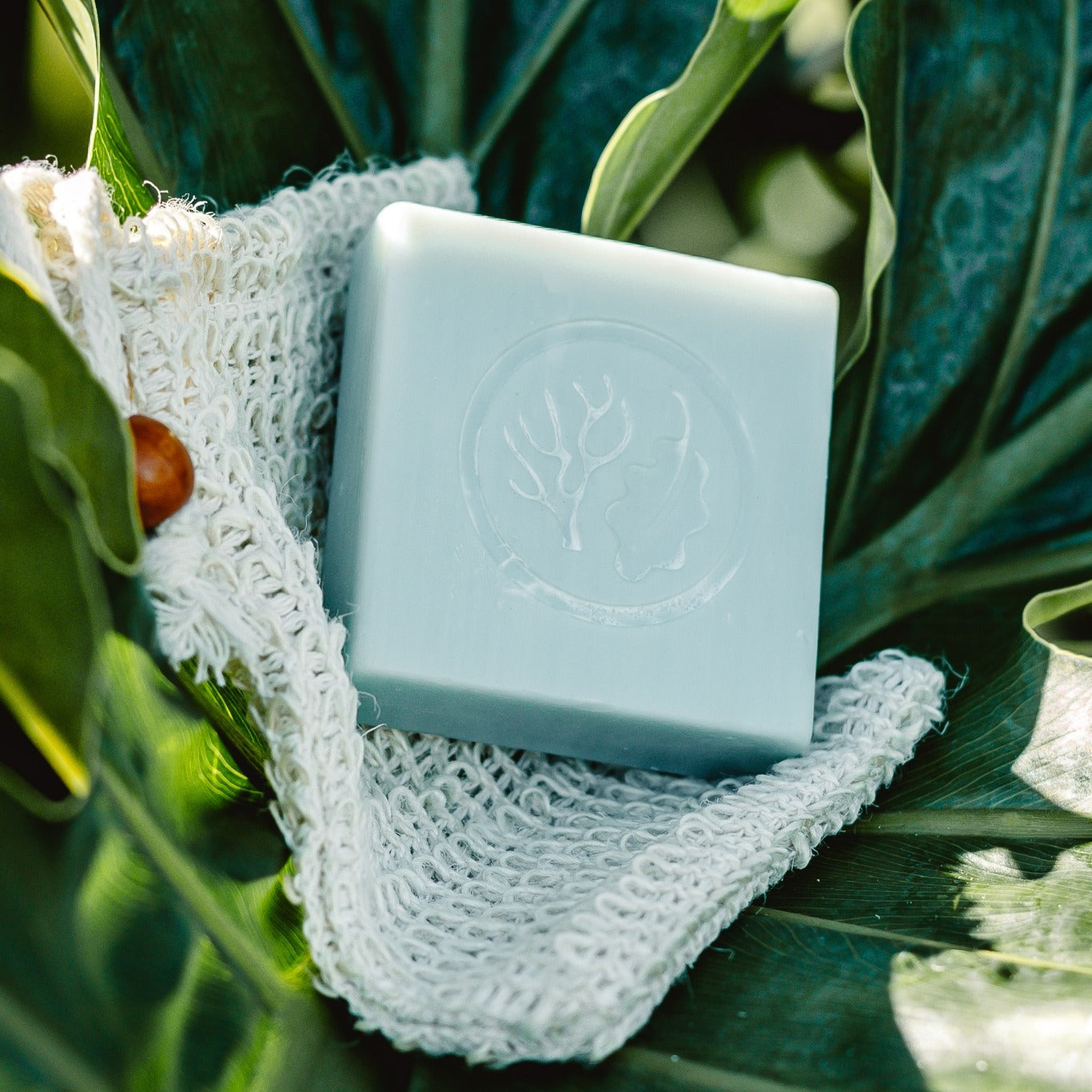 Discover the Eco-Chic World of Wash Bloc - Olivia & Grace