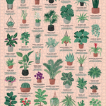 RIDLEY'S - HOUSE PLANT | JIGSAW PUZZLE-1000PC