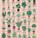 RIDLEY'S - HOUSE PLANT | JIGSAW PUZZLE-1000PC