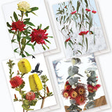 VF EDITIONS - AUSTRALIAN BOTANICALS BUNDLE PACK | PACK A