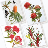 VF EDITIONS - AUSTRALIAN BOTANICALS BUNDLE PACK | PACK C