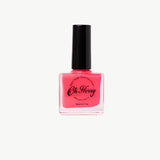 OH FLOSSY - NAIL POLISH SET | DISCO