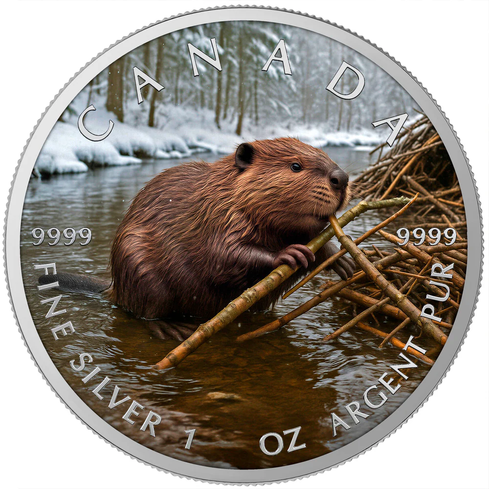 O&G - WINTER BEAVER 2025 CANADA MAPLE LEAF 1OZ SILVER COIN