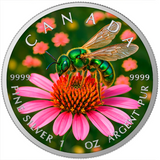 O&G - SWEAT BEE 2026 CANADA 1OZ SILVER COIN