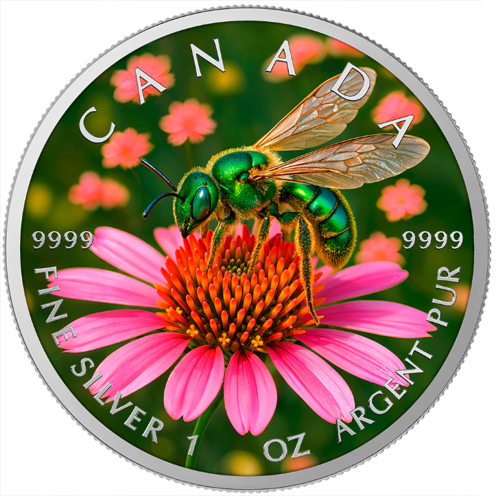 O&G - SWEAT BEE 2026 CANADA 1OZ SILVER COIN