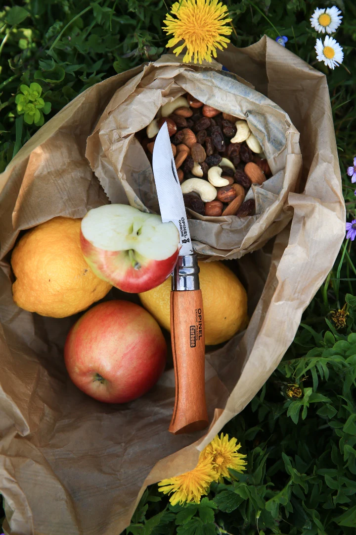 OPINEL - TRADITIONAL CLASSIC N°08 CARBON STEEL + SHEATH