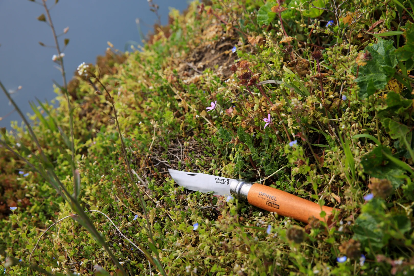 OPINEL - TRADITIONAL CLASSIC N°08 CARBON STEEL + SHEATH