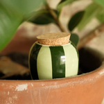 PEPIN - OLLA SELF-WATERING POT | GREEN + GREEN STRIPES