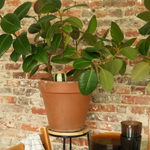 PEPIN - OLLA SELF-WATERING POT | GREEN + GREEN STRIPES