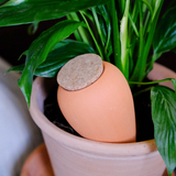 PEPIN - OLLA SELF-WATERING POT | TERRACOTTA