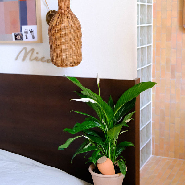 PEPIN - OLLA SELF-WATERING POT | TERRACOTTA