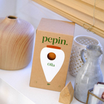 PEPIN - OLLA SELF-WATERING POT | TERRACOTTA