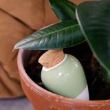 PEPIN - OLLA SELF-WATERING POT | GREEN