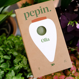 PEPIN - OLLA SELF-WATERING POT | GREEN