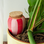 PEPIN - OLLA SELF-WATERING POT | PINK + RED STRIPES