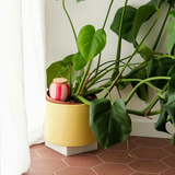 PEPIN - OLLA SELF-WATERING POT | PINK + RED STRIPES