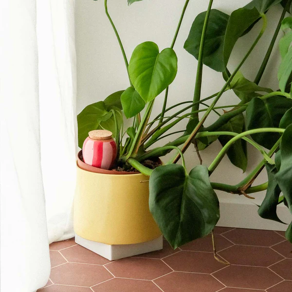 PEPIN - OLLA SELF-WATERING POT | PINK + RED STRIPES