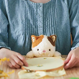 DREAMS - POSTURE PAL LARGE V2 | CALICO CAT