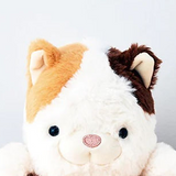 DREAMS - POSTURE PAL LARGE V2 | CALICO CAT