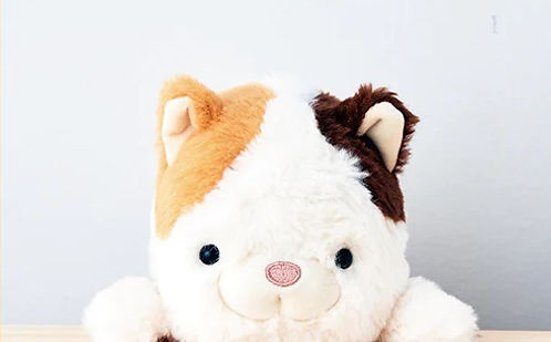 DREAMS - POSTURE PAL LARGE V2 | CALICO CAT