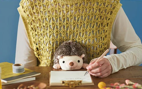 DREAMS - POSTURE PAL LARGE V2 | HEDGEHOG