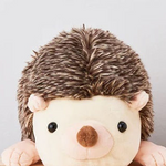 DREAMS - POSTURE PAL LARGE V2 | HEDGEHOG
