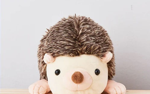 DREAMS - POSTURE PAL LARGE V2 | HEDGEHOG