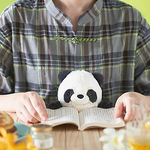DREAMS - POSTURE PAL LARGE V2 | PANDA