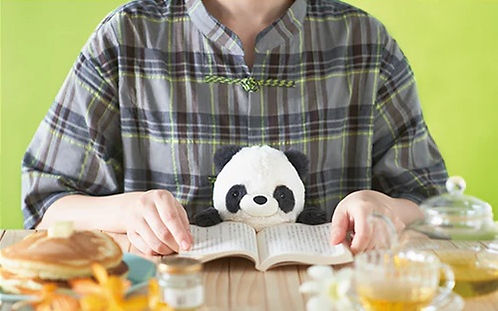 DREAMS - POSTURE PAL LARGE V2 | PANDA