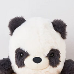 DREAMS - POSTURE PAL LARGE V2 | PANDA