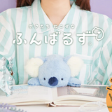DREAMS - POSTURE PAL LARGE V6 | KOALA