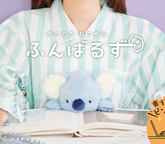 DREAMS - POSTURE PAL LARGE V6 | KOALA