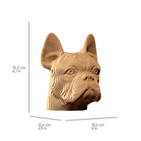 CARTONIC - 3D BULLDOG