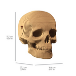 CARTONIC - 3D SKULL