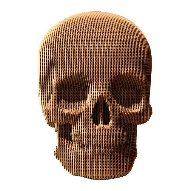 CARTONIC - 3D SKULL