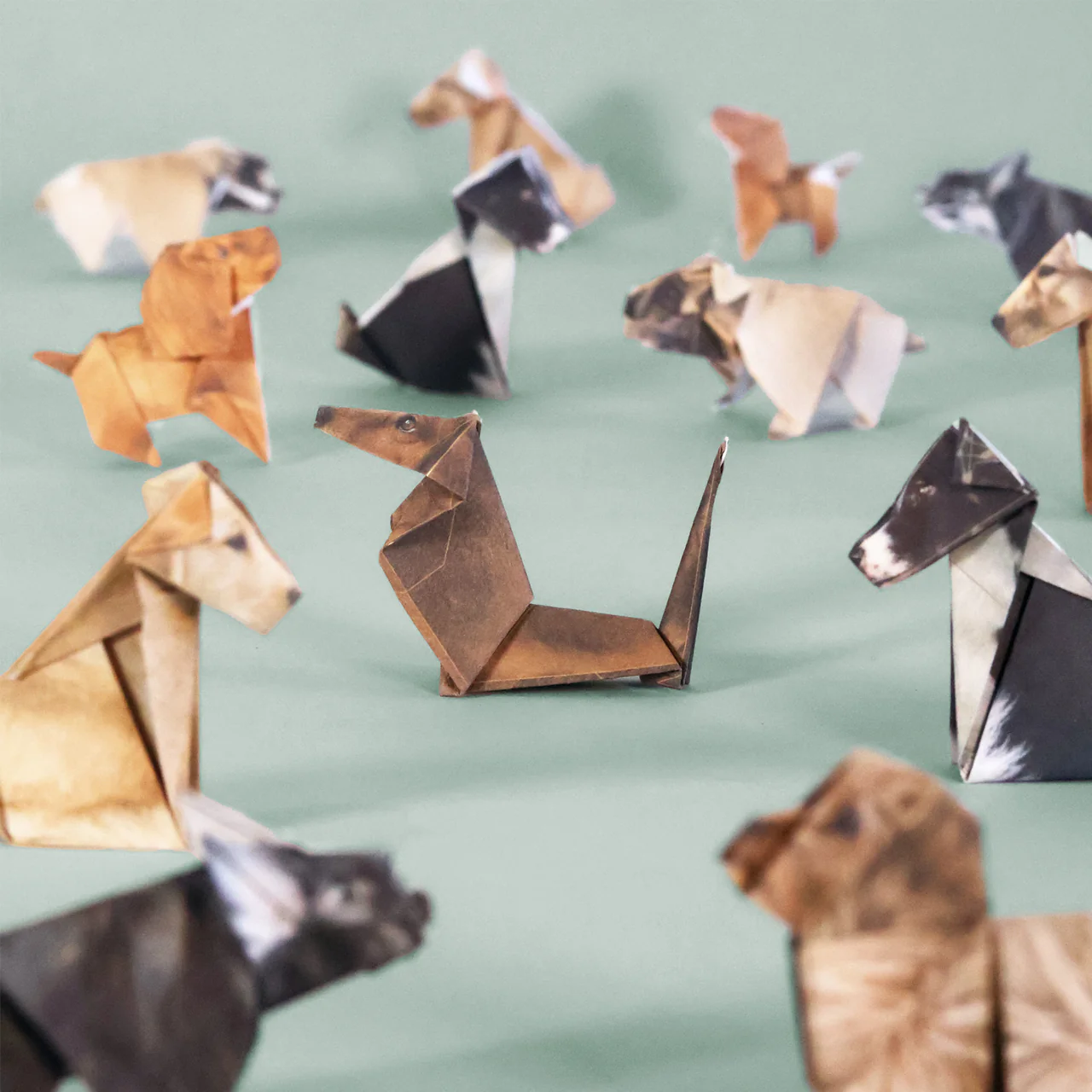 PIKKII - PAPER PUPS | ORIGAMI DOG KIT